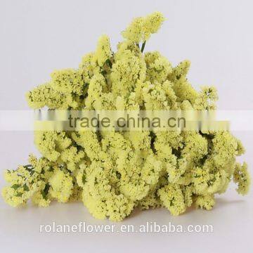 Supply Long Flower Period Fresh Cuttting Statices Flowers From Yunnan Province China photo-3