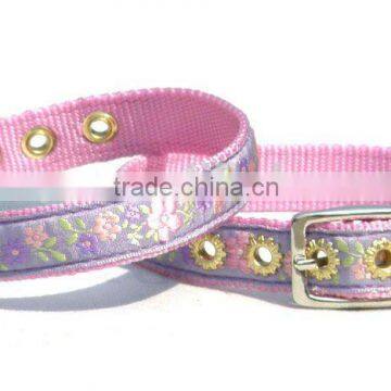Newly Style Dog Collar