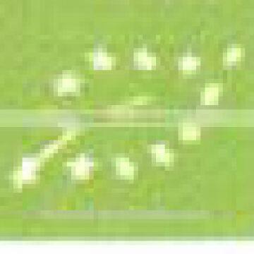 Certificated Goji Berry photo-5