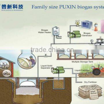 China Puxin 10m3 Family size Biogas Plant