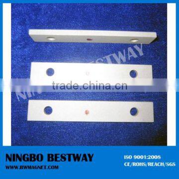 Heavy Duty China Samarium Cobalt Smco Radial Magnet photo-5