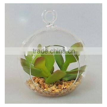 Made in China Garden Decoration Hanging Glass Ball Succulent