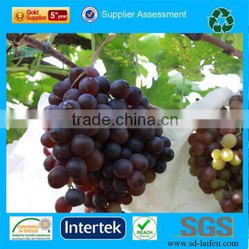 Nonwoven agriculture UV treament grape protection bag