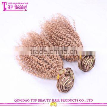 2016 Most Popular 100% 8 Inch Clip-in Human Hair Extensions Human Curly Blonde Clip in Hair Extensions for White Women photo-5