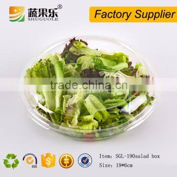 Eco-friendly Disposable Salad Container