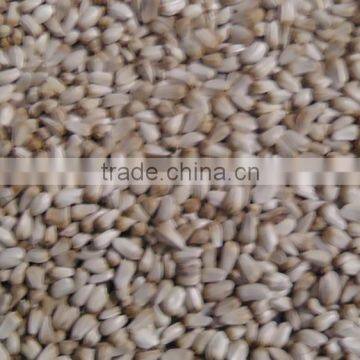 Safflower Seed photo-2