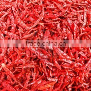 HOT SPICY RED CHILI EXPORTER photo-3