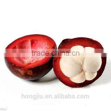 Wholesale High Quality Mangosteen Extract