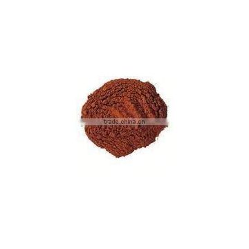 pine bark herbal extract