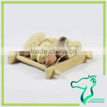 Peanut In Shell For Export Shandong Peanut Good Quality