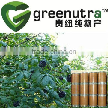 Eleutherococcus Senticosus Extract