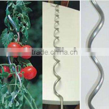 Tomato Spiral Wire