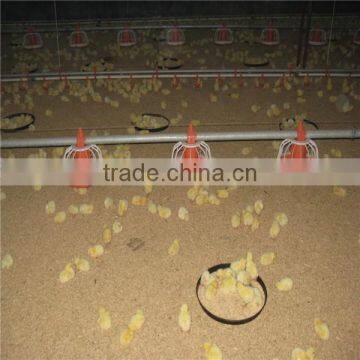 Automatic chicken egg poultry farm equipment