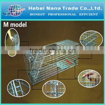 live animal cage trap cat trap (professional manufacturer)