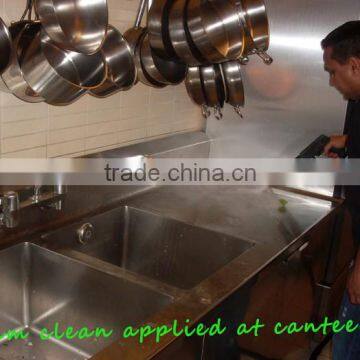 HZX-3000 Auto Detailing Machine Business/Steam Handheld Cleaner photo-4