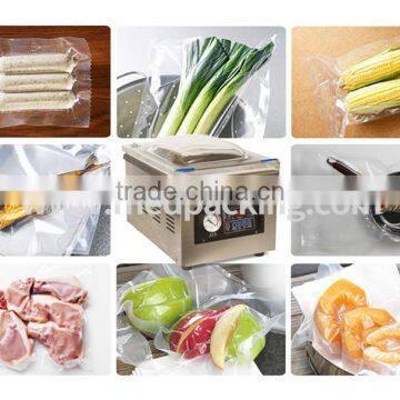DZ-260 Desktop Vacuum Packaging Machine Stainless Steel Body