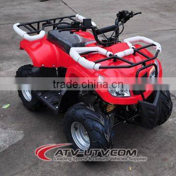 2015 Specialized Production Dune Buggy 4x4( AT1103) photo-2