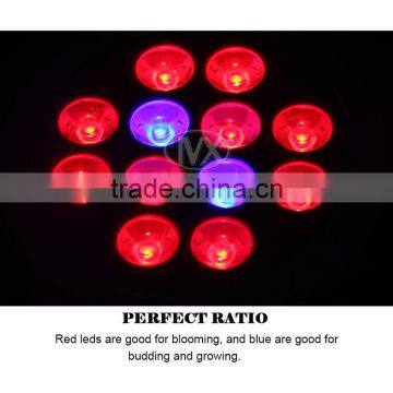 9Red+3Blue Indoor Grow Box Hydroponic 12W led grow bulb