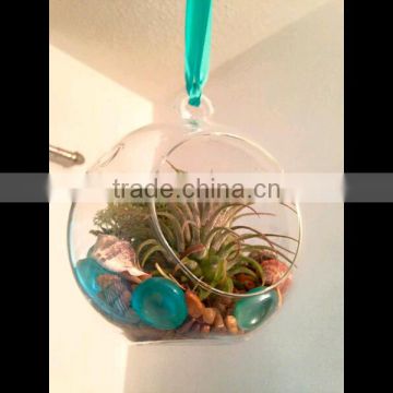 Acrylic Round Terrarium decoration