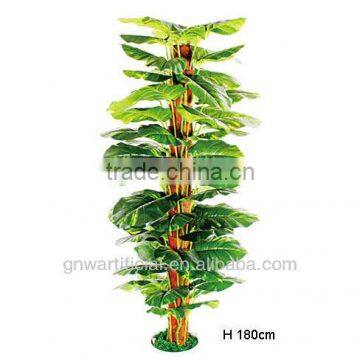 Plant and Tree Nursery Green Mini Plants Indoor Office GNW G120 photo-2