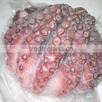 Frozen Octopus in Ball Shape photo-2