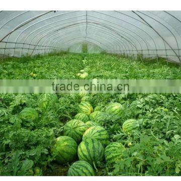 2017 easy assembled watermelon film covering tunnel greenhouse