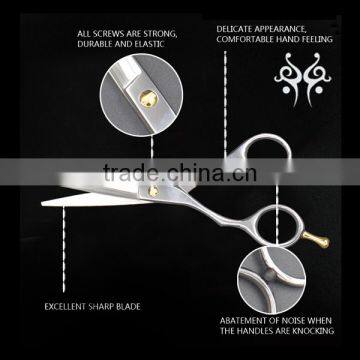 Factory Directly Selling Hair Scissors Wholesale Hair Salon Equipment photo-6