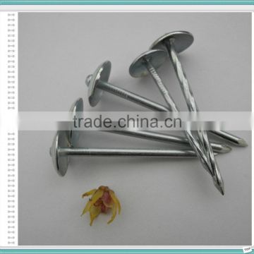 Galvanized Umbrella Head Roofing Nails Factory