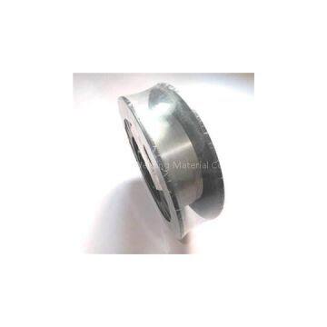 AWS ER-309L