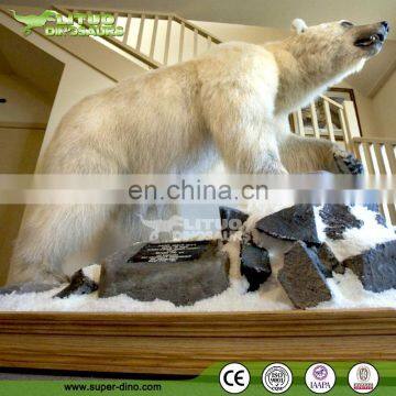 Animatronic Life Size Animal Lifelike Polar Bear For Sale