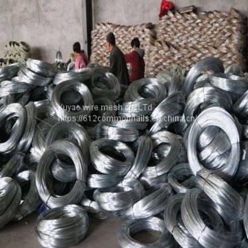 Galvanized Wire Tie Binding Iron Wire photo-2