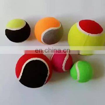 Hot Sales Dog Training Elastic Tennis Ball Pet Playing Toy