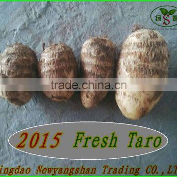 Chinese Fresh Tomatoes, Good Faith the Seller! photo-5