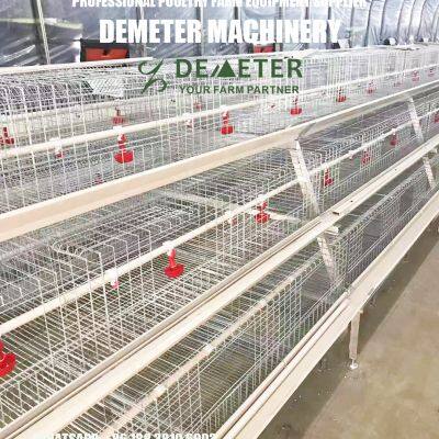 Best Chicken Cage photo-4