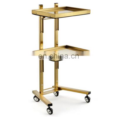 Hot sale Double Layer Beauty Stylist Trolley Rolling Cart in Salon furniture