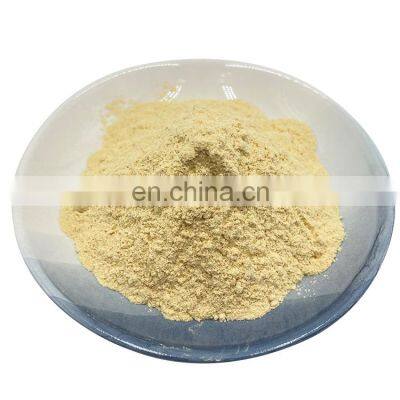 Health Supplement Shiitake Extract Shiitake Mushroom Powder