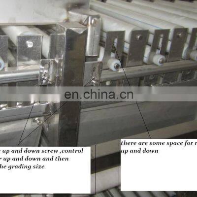 SS Round Shape Fruit Grading Machine,apple Sorter Orange Sorting Machine photo-5