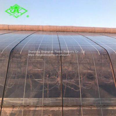 UV Protection Mist-resistant 3-5 Layers Heat Keeping Daylight Greenhouse Film photo-5