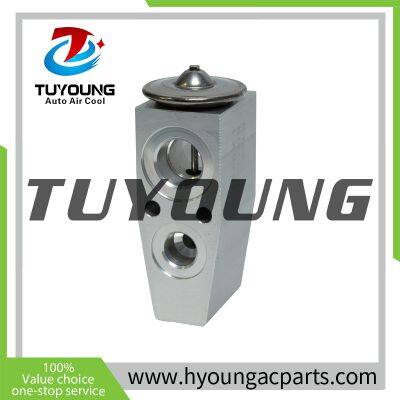 TUYOUNG China factory produce auto ac expansion valves for Chevrolet Colorado 2004-2014, 25891795 EX 9707C, HY-PZF303