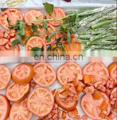 Vacuum Freeze Dryer in the Dried Fruit& Vegetable Processing photo-5