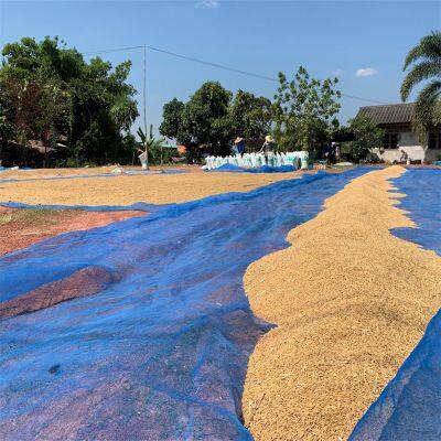 16mesh Blue Nylon Net Agricultural Paddy Rice Drying Plastic Screen PE Plastic Monofilament Anti Insect Mesh photo-3