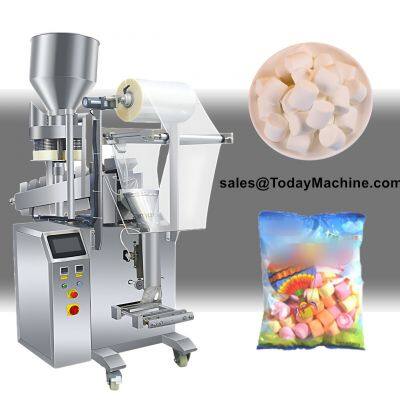 Dry Food Bag Bucket Chain Type Packing Machine