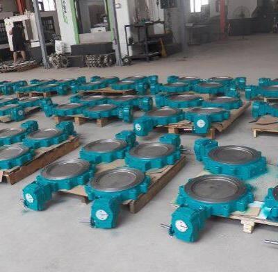1.5 Inch 304 Stainless Steel Sanitary Butterfly Valve with Pull Handle