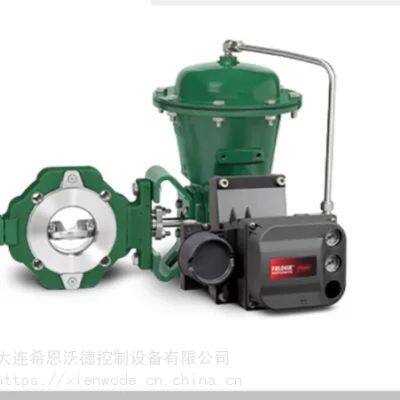 FISHER  control valve