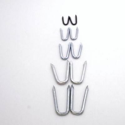 POWER U Type Nails Q195 Steel | China Factory Direct | Stable Quality & On-Time Delivery photo-2