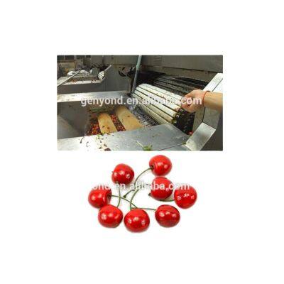 Машина для удаления плодоножек вишни / Фруктоперерабатывающая машина вишни