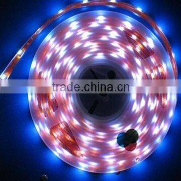 Epistar 12V led tape with CE and ROHS
