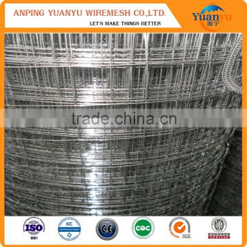 galvanized welded wire mesh factory(iso9001 factory)