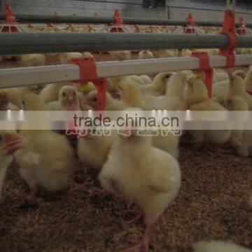 360 Degree Ball Valve Detachable Red Chicken Nipple Drinkers photo-3