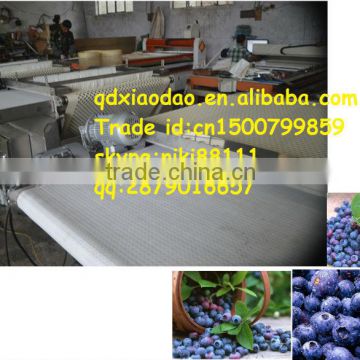 blueberry grading machine/sorting machine/fruit grading machine